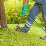 Avata Pest Control