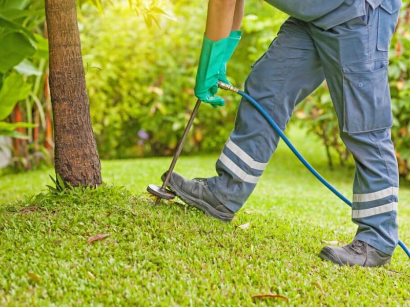 Avata Pest Control