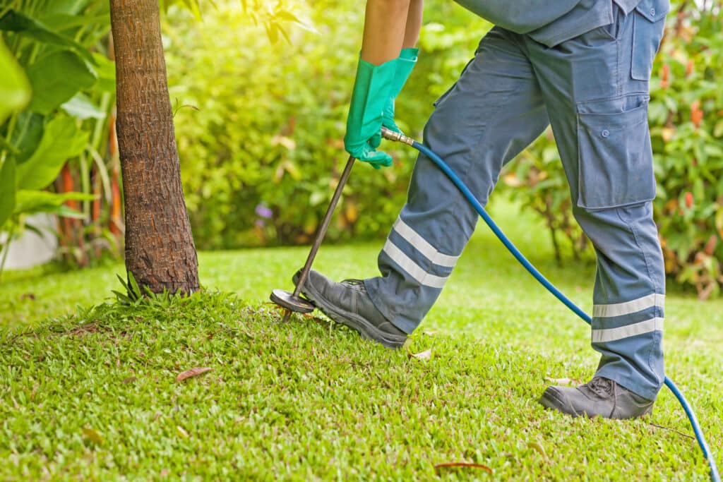 Avata Pest Control